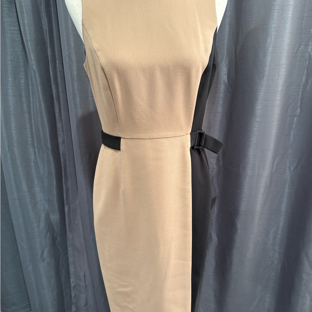 WHBM Elegant Tan and Black Dress